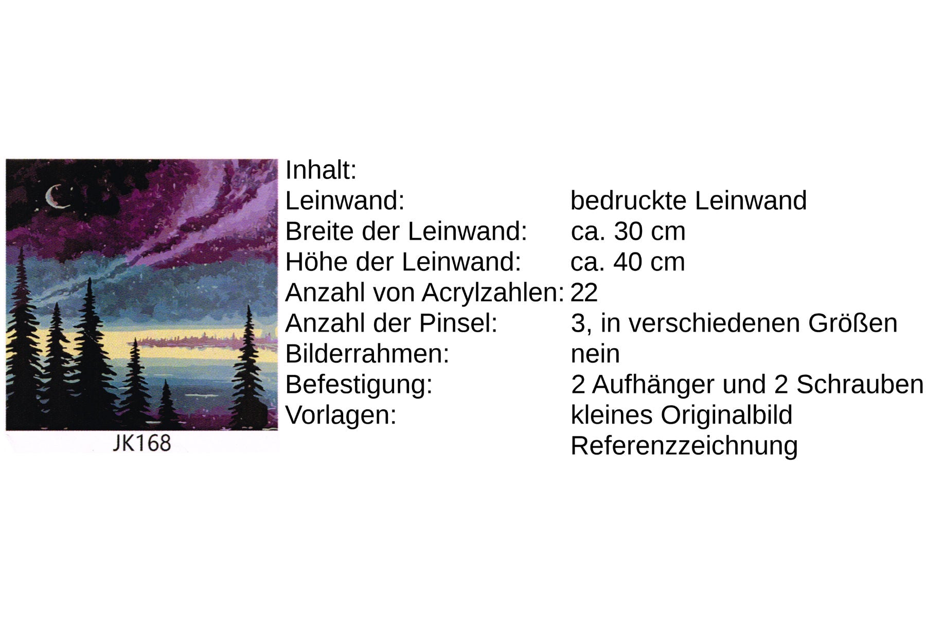 Nachtbild mit Wald Malen nach Zahlen 22 Acrylfarben 30x40 cm JK168