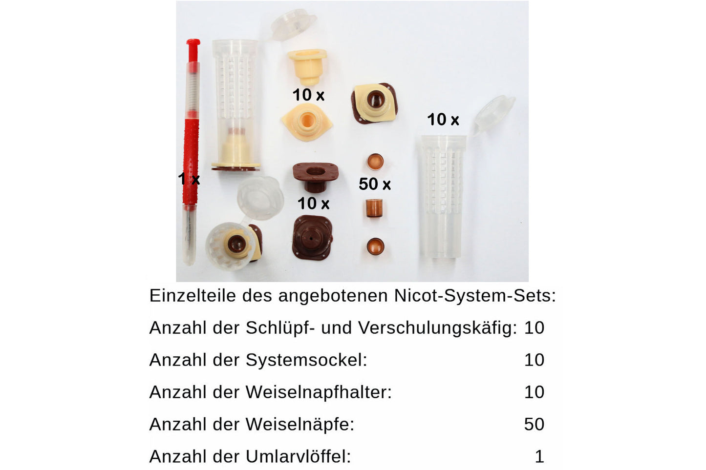 Nicot System Set 81 Teile 50 Weiselnapf mit Umlarvlöffel für Königinnenzucht