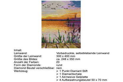 See vom Steg Schilf Meer Diamond Painting 20 Farben 300  x 400 mm W1256
