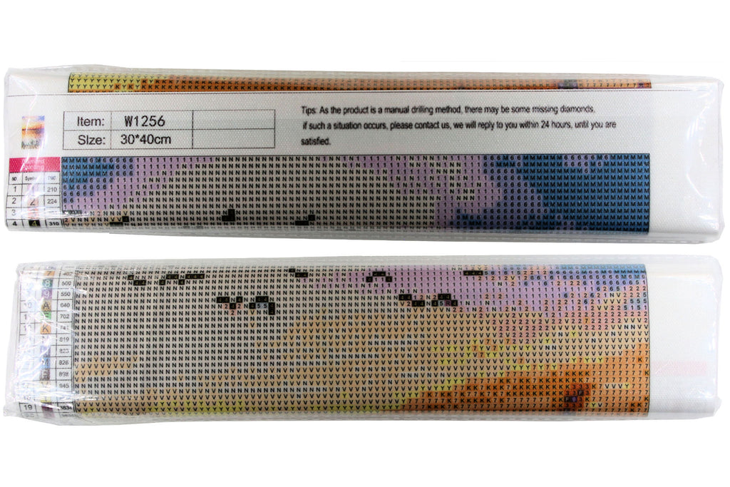 See vom Steg mit Schilf Diamond Painting 20 Farben 300  x 400 mm W1256