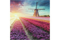 Windmühle hinter Blumenfeld mit 13 Farben Diamond Painting  30x30cm CR2001-21