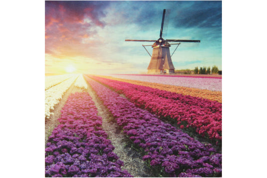 Windmühle hinter Blumenfeld mit 13 Farben Diamond Painting  30x30cm CR2001-21