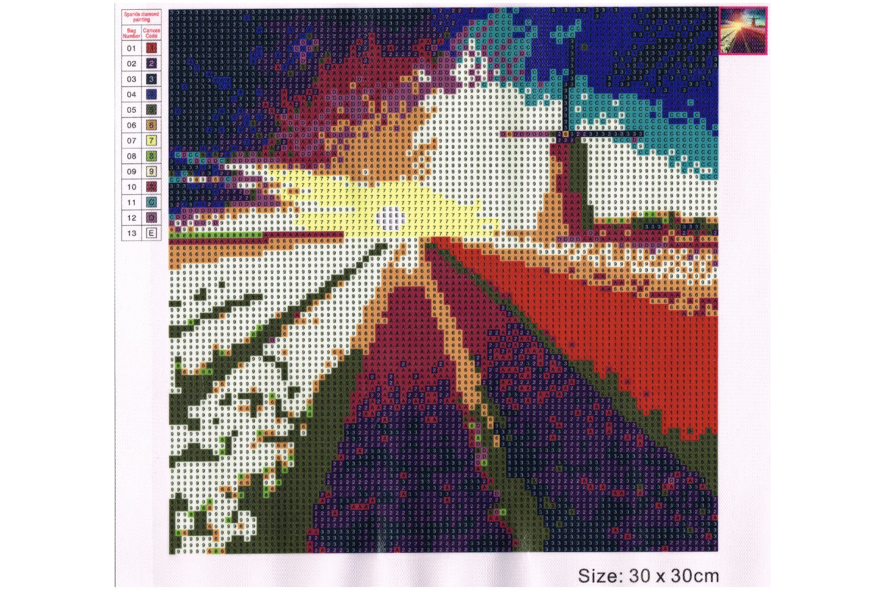 Windmühle hinter Blumenfeld mit 13 Farben Diamond Painting  30x30cm CR2001-21