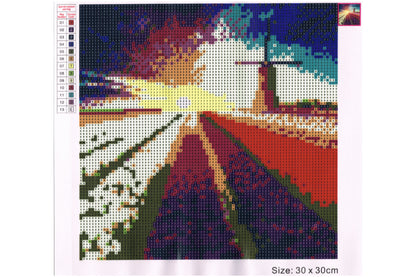 Windmühle hinter Blumenfeld mit 13 Farben Diamond Painting  30x30cm CR2001-21