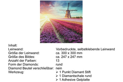 Windmühle hinter Blumenfeld mit 13 Farben Diamond Painting  30x30cm CR2001-21