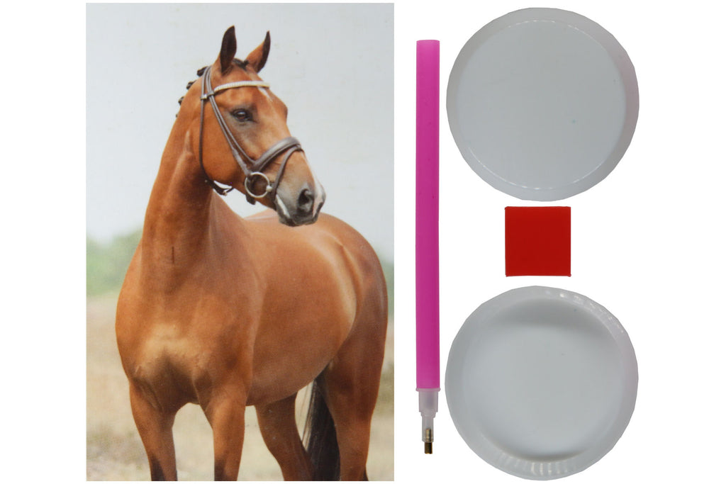 Braunes Pferd Diamond Painting 12 Farben 30 x 40 cm CR2013-21GE