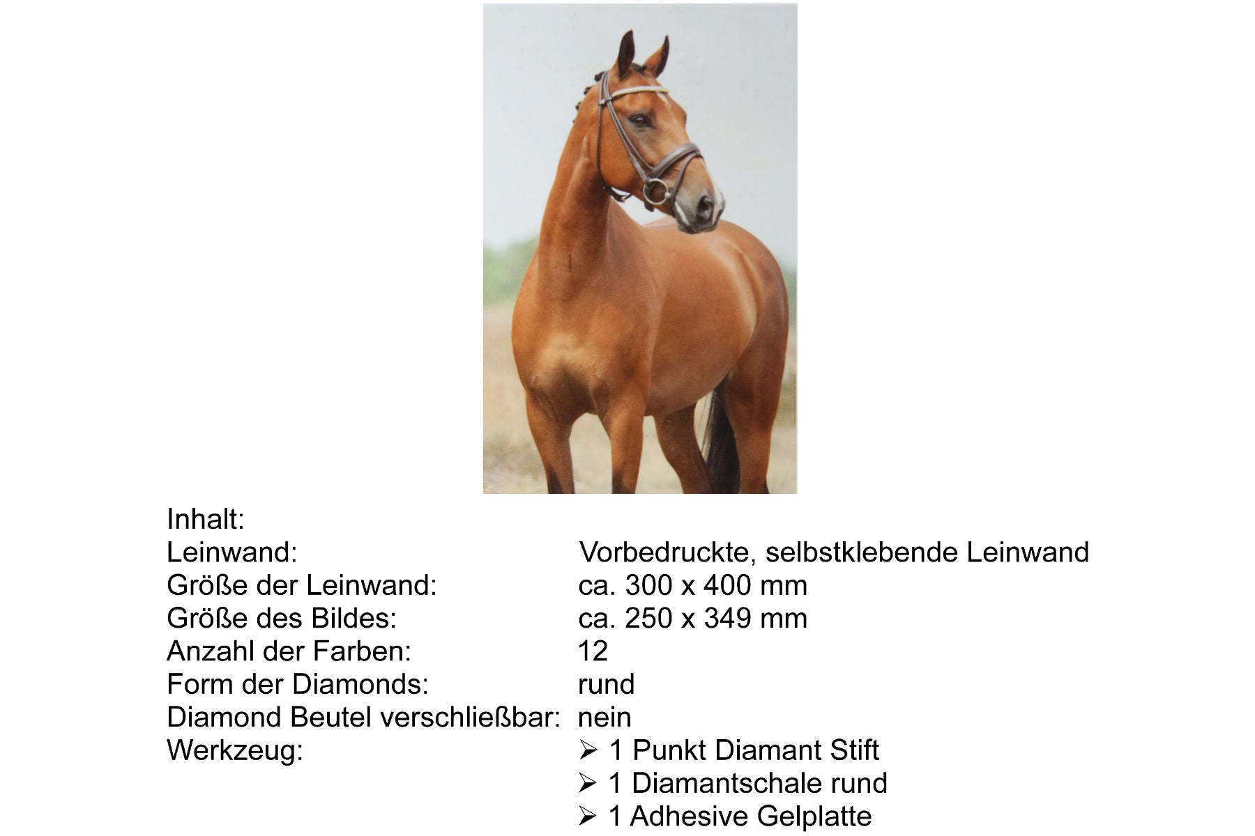 Braunes Pferd Diamond Painting 12 Farben 30 x 40 cm CR2013-21GE