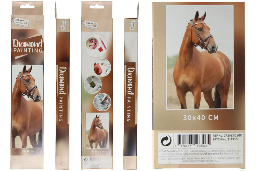 Braunes Pferd Diamond Painting 12 Farben 30 x 40 cm CR2013-21GE