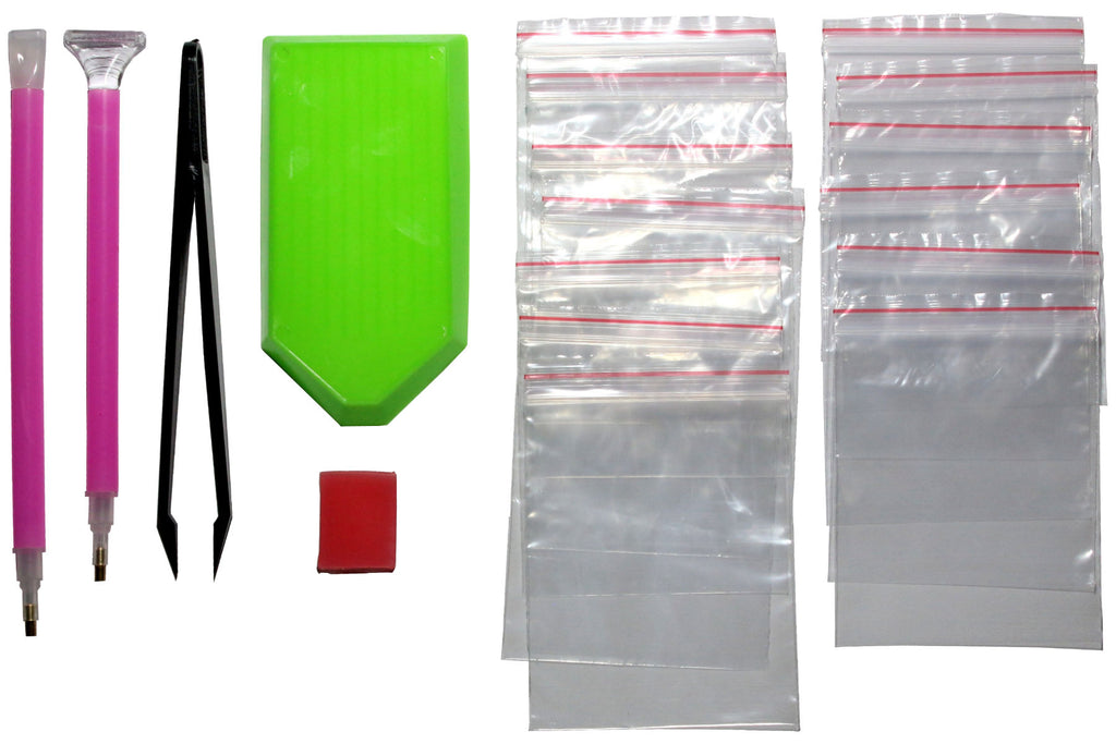 Bunter Katzenkopf mit Schmetterling Diamond Painting  25 Farben 300 x 300 mm  LC6300