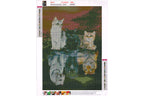 3 Katzen in Pfütze zu 3 Raubtiere Diamond Painting  26 Farben 30x40 cm  LC6343
