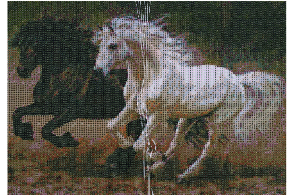 Rappe und Schimmel im Galopp Diamond Painting  19 Farben 40x30cm LIY-4085