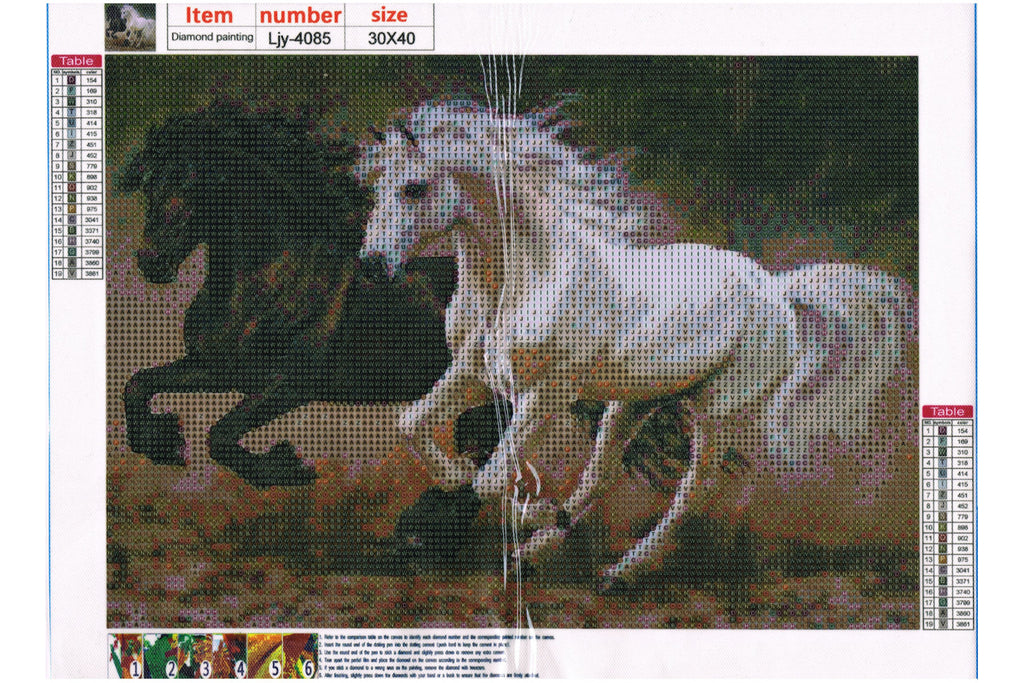 Rappe und Schimmel im Galopp Diamond Painting  19 Farben 40x30cm LIY-4085
