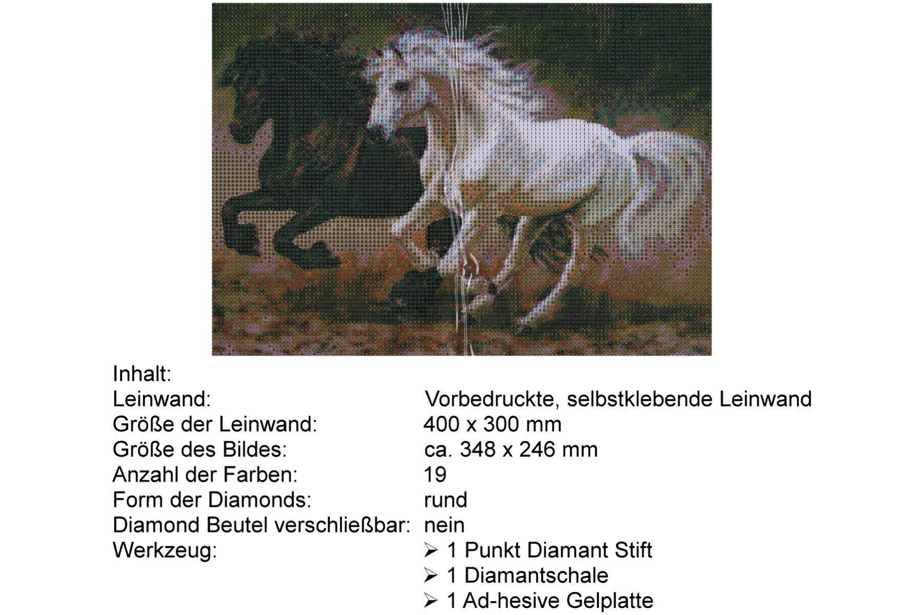 Rappe und Schimmel im Galopp Diamond Painting  19 Farben 40x30cm LIY-4085