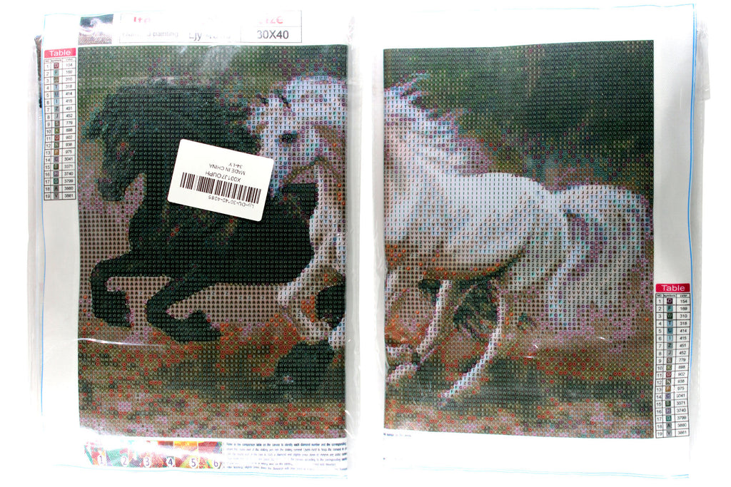 Rappe und Schimmel im Galopp Diamond Painting  19 Farben 40x30cm LIY-4085