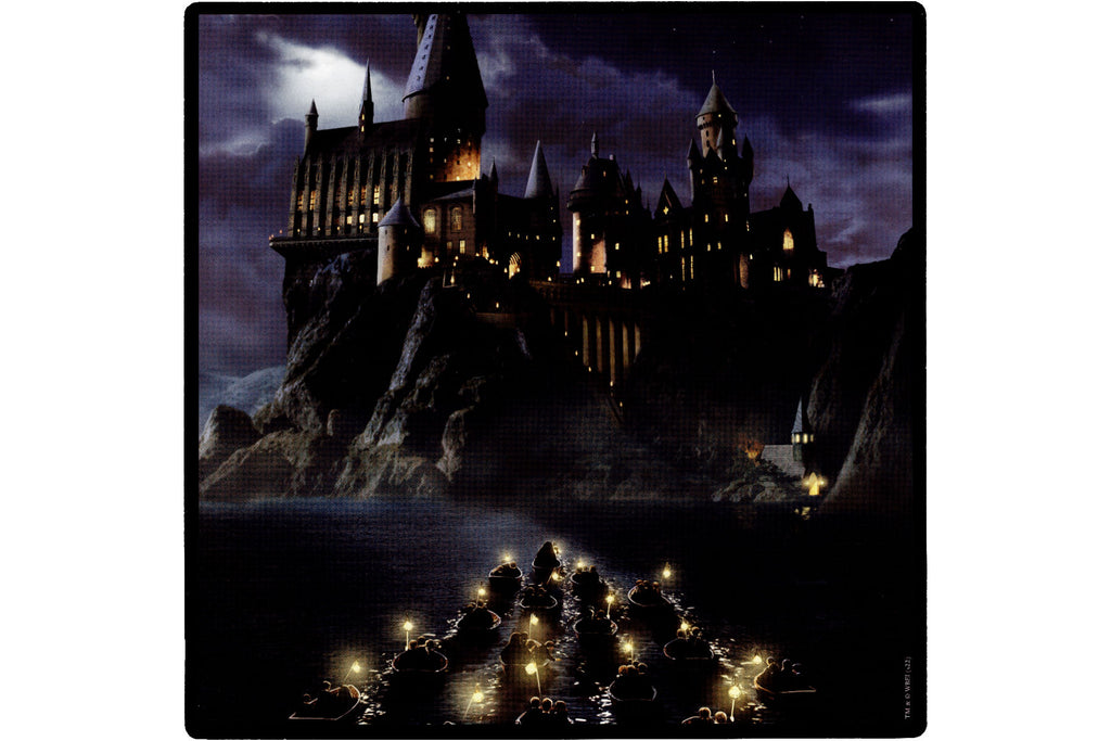 ASS Altenburger Harry Potter Spielesammlung ab 2 Spiele und ab 5 Jahre