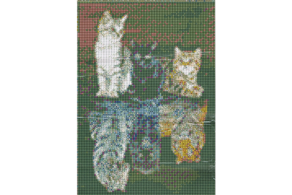 3 Katzen in Pfütze zu 3 Raubtiere Diamond Painting 30 Farben 30x40 cm  WB2618