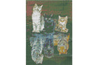 3 Katzen in Pfütze zu 3 Raubtiere Diamond Painting 30 Farben 30x40 cm  WB2618