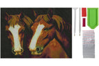 2 Pferdeköpfe von braunen Pferde Diamond Painting 20 Farben 40x30cm WX849