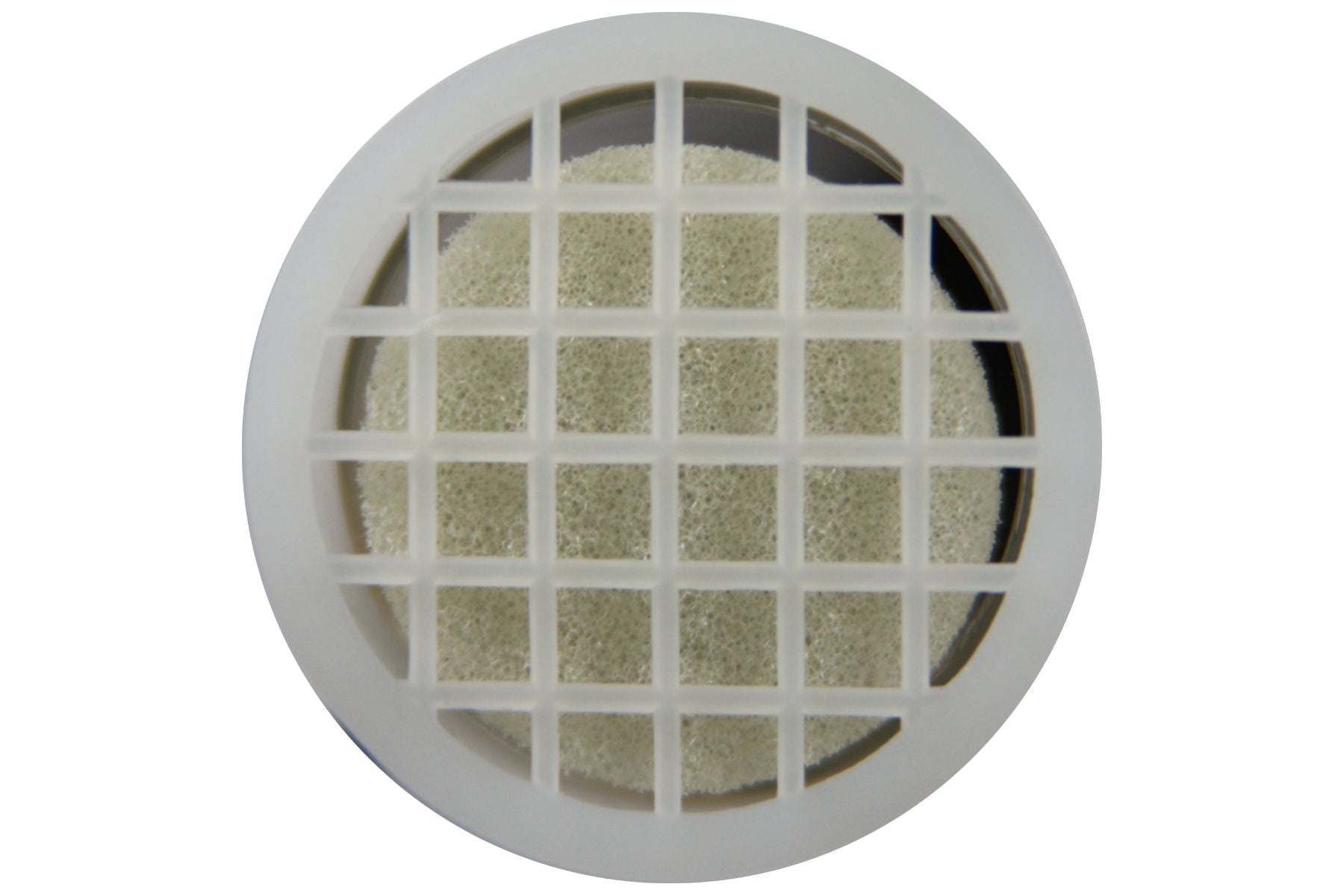 Zeichenrohr zum Markieren der Bienenkönigin mit Jahresfarbe