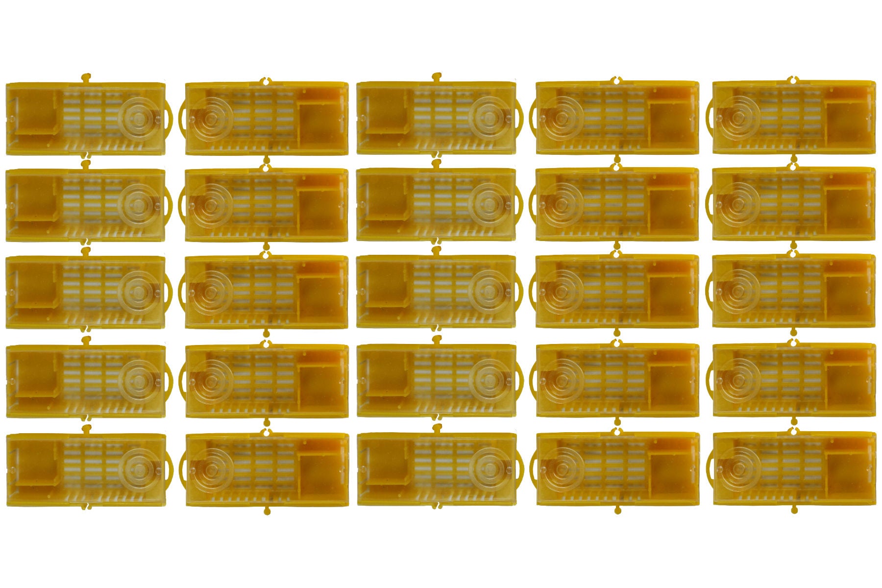 25 Stück Zusetzkäfig Versandkäfig gelb für Bienenköniginnenzucht